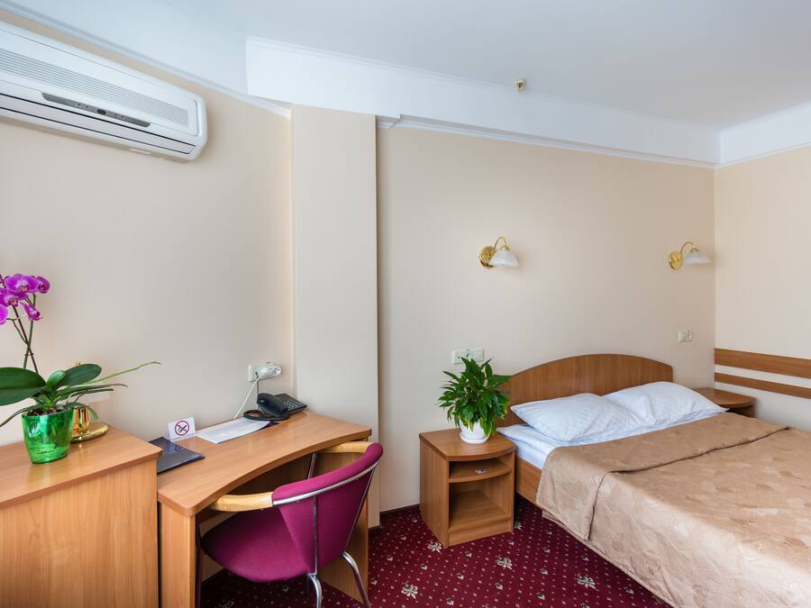 A hotel room with a desk, chair, bed, bedside tables, and a potted plant.