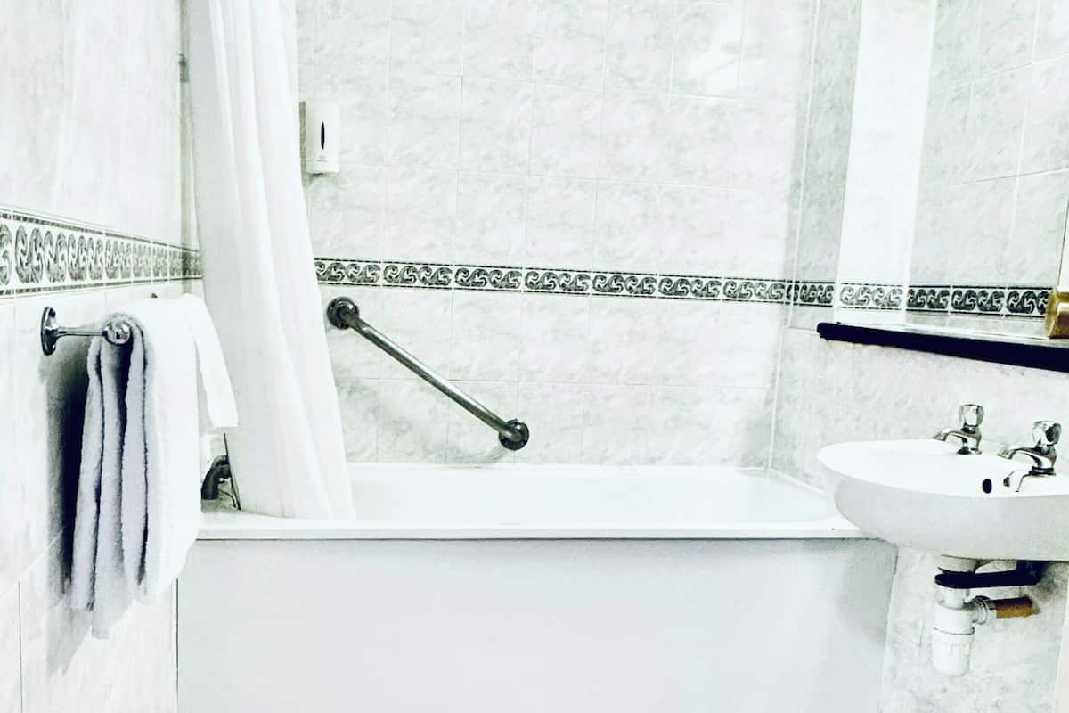 combined shower/bathtub, free toiletries, hair dryer, towels