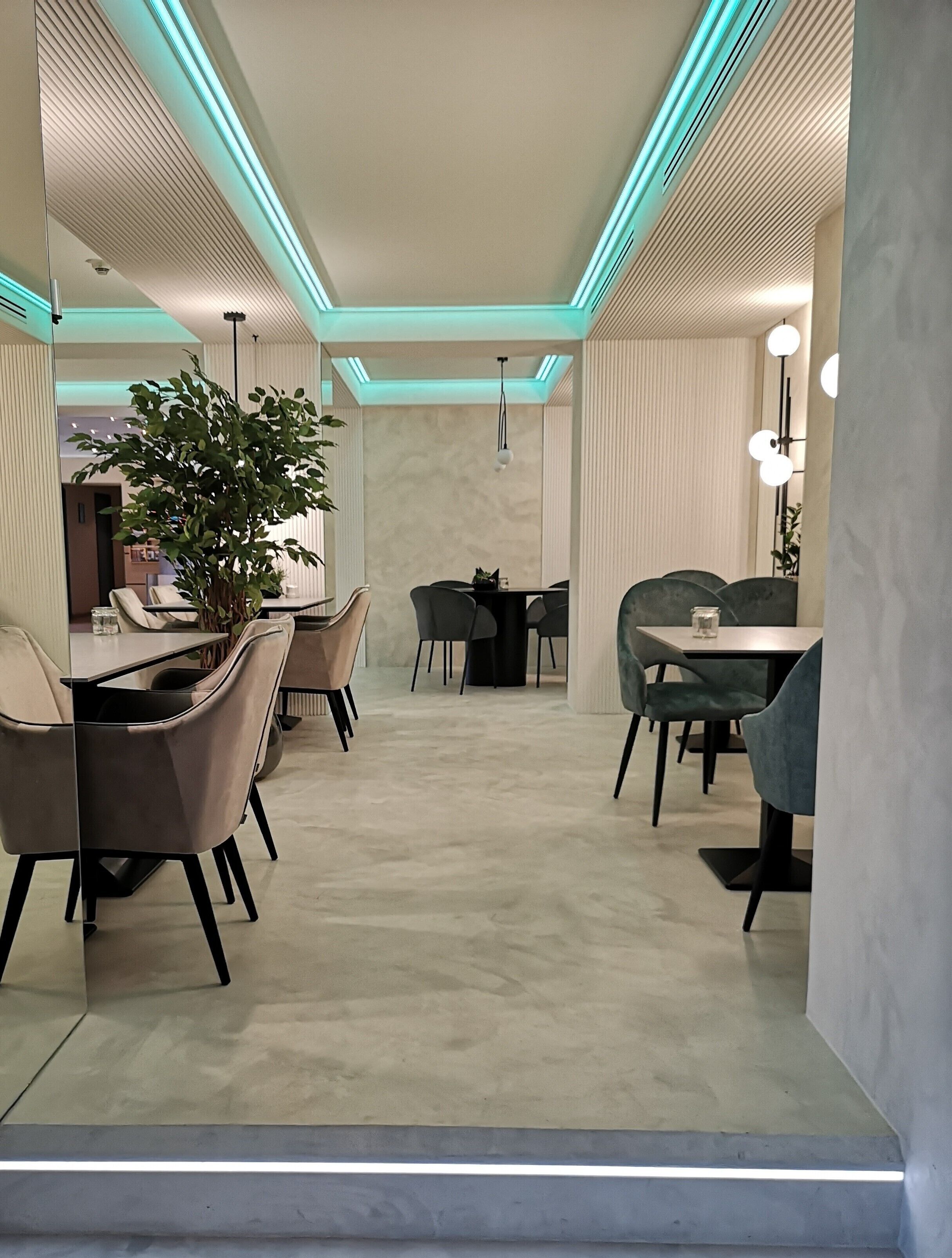 A modern dining area with a central table, surrounded by chairs, and a potted plant.