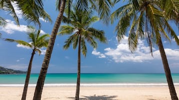 On the beach, scuba diving