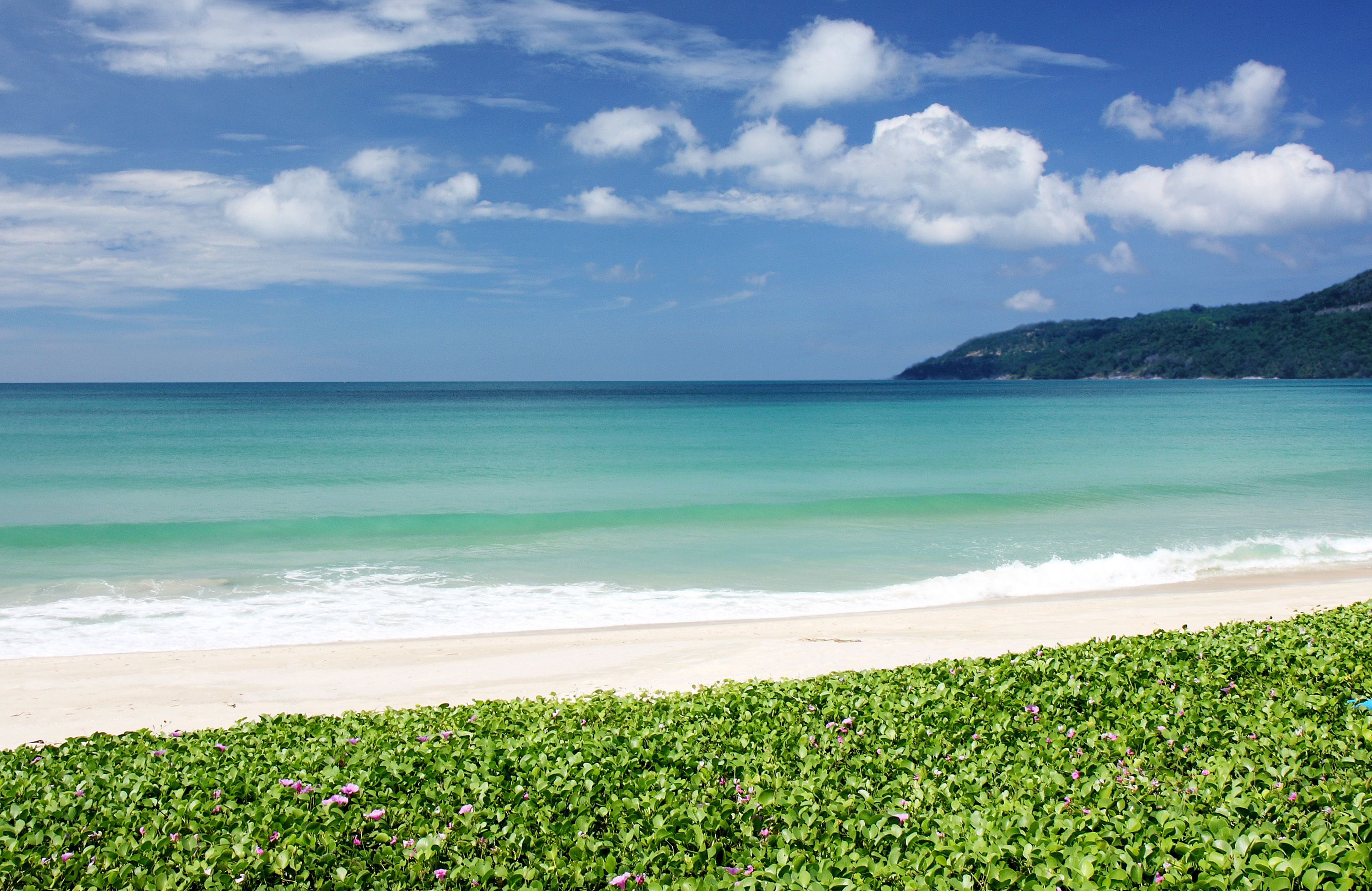 A beach with clear turquoise water, a sandy shore, and green vegetation in the foreground.