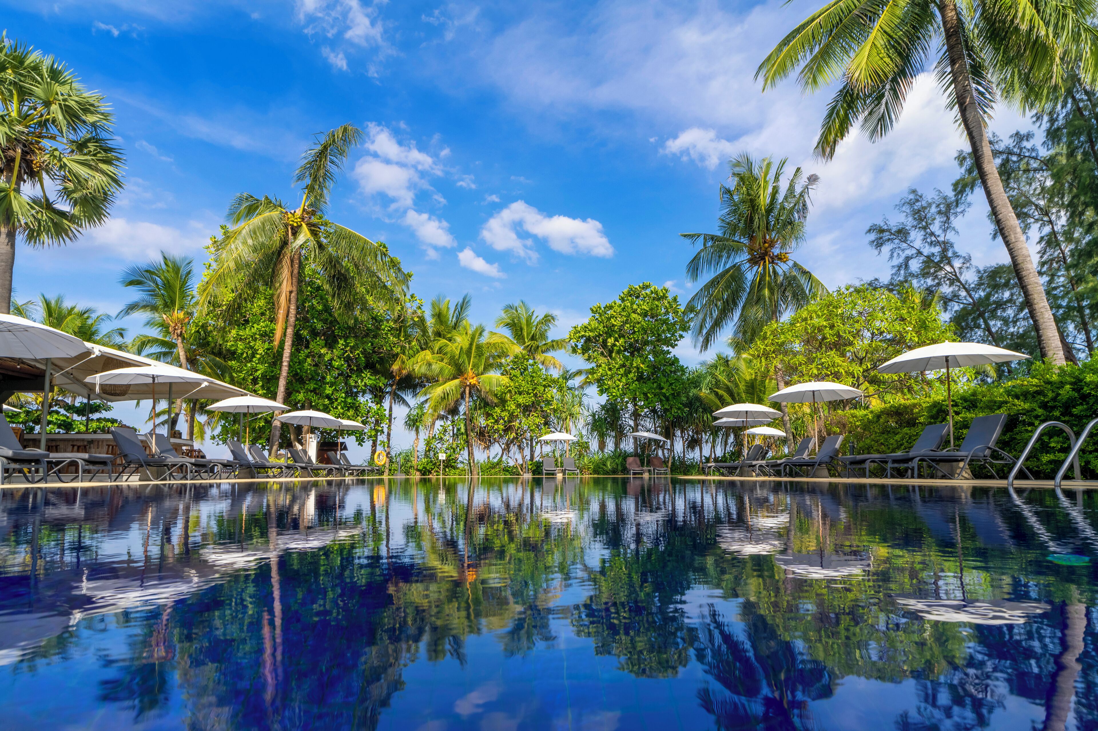 4 outdoor pools, open 8:00 AM to 8:00 PM, pool umbrellas, pool loungers