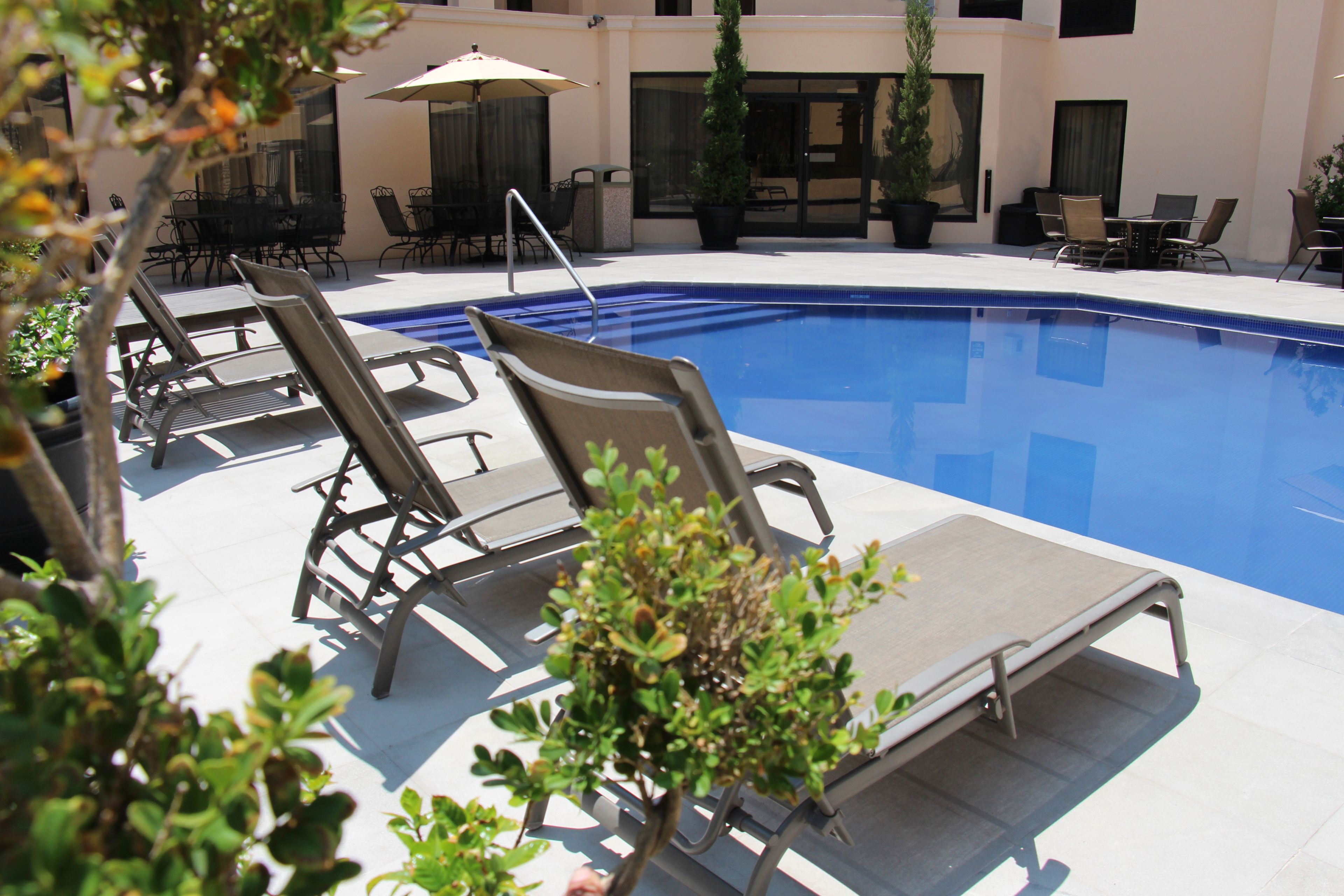 Ein Poolbereich mit Liegestühlen und Sonnenschirmen.