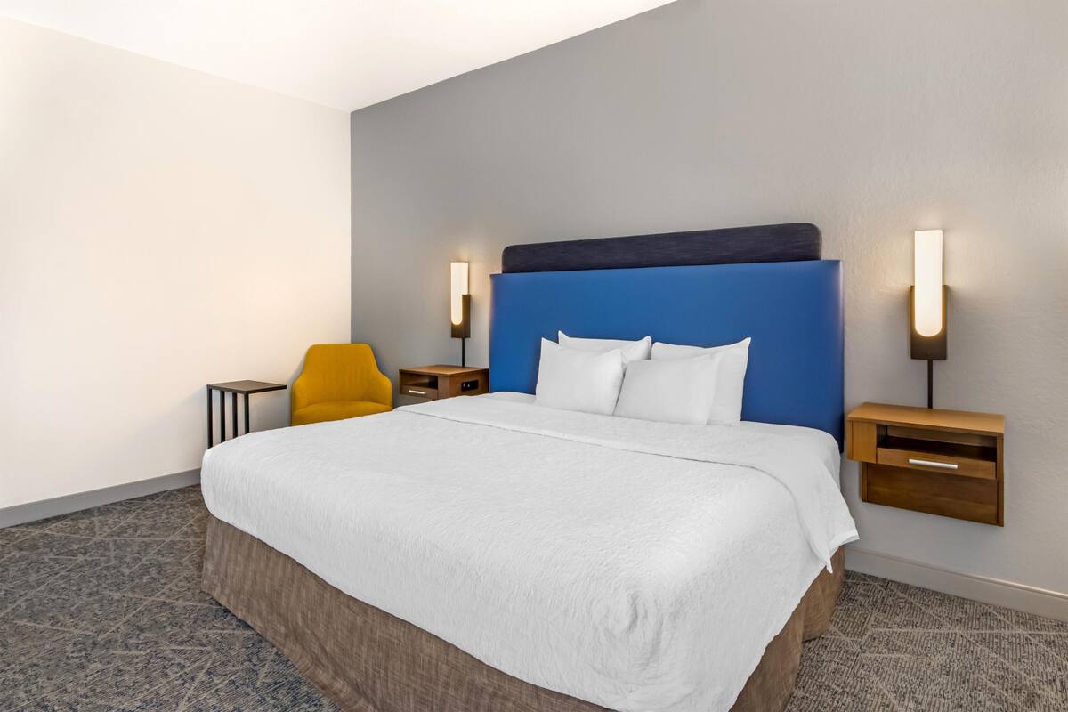 Room, 1 King Bed, Accessible, Non Smoking