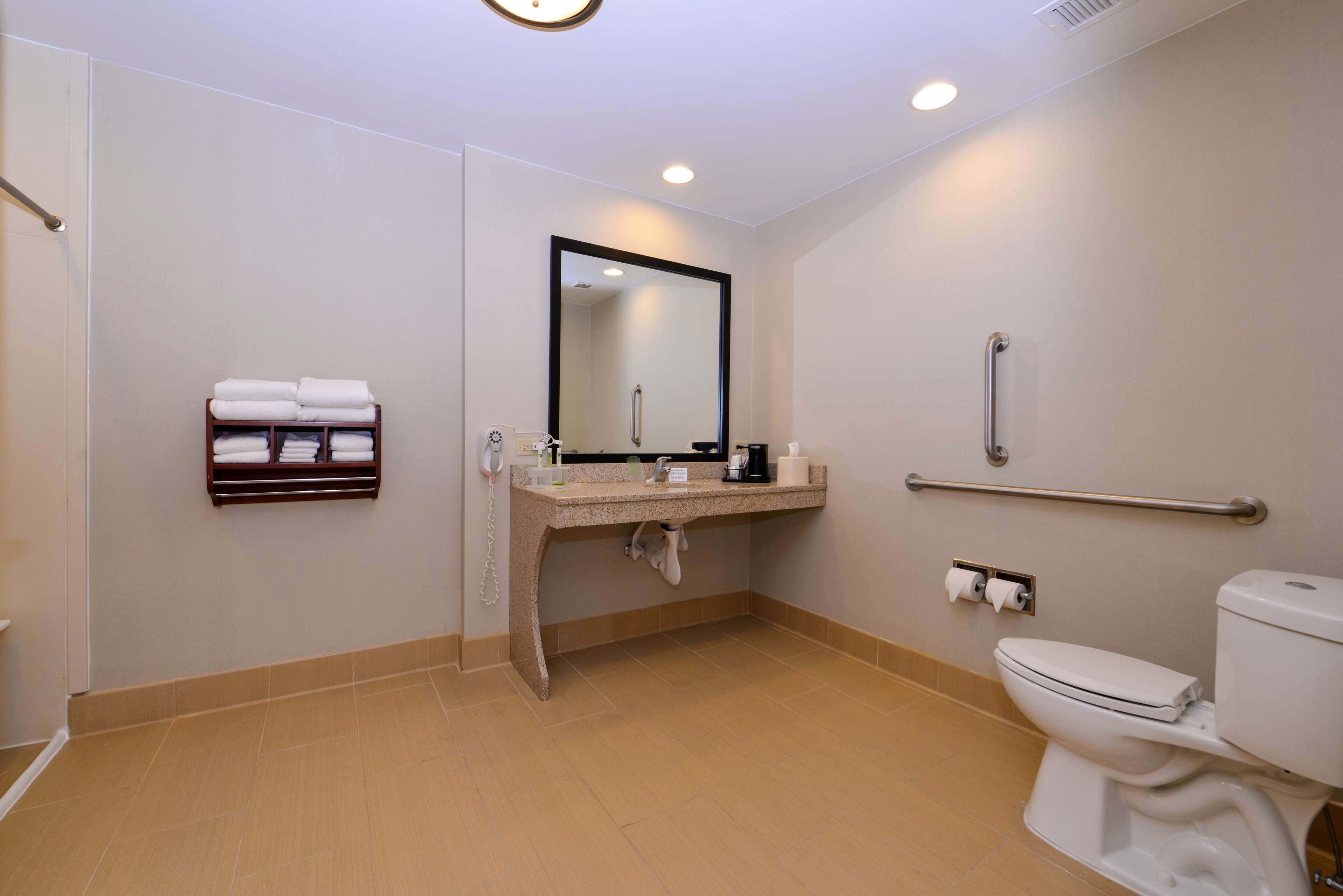 客房, 1 張特大雙人床, 無障礙, 非吸煙房 (Roll-in Shower) | 浴室淋浴間