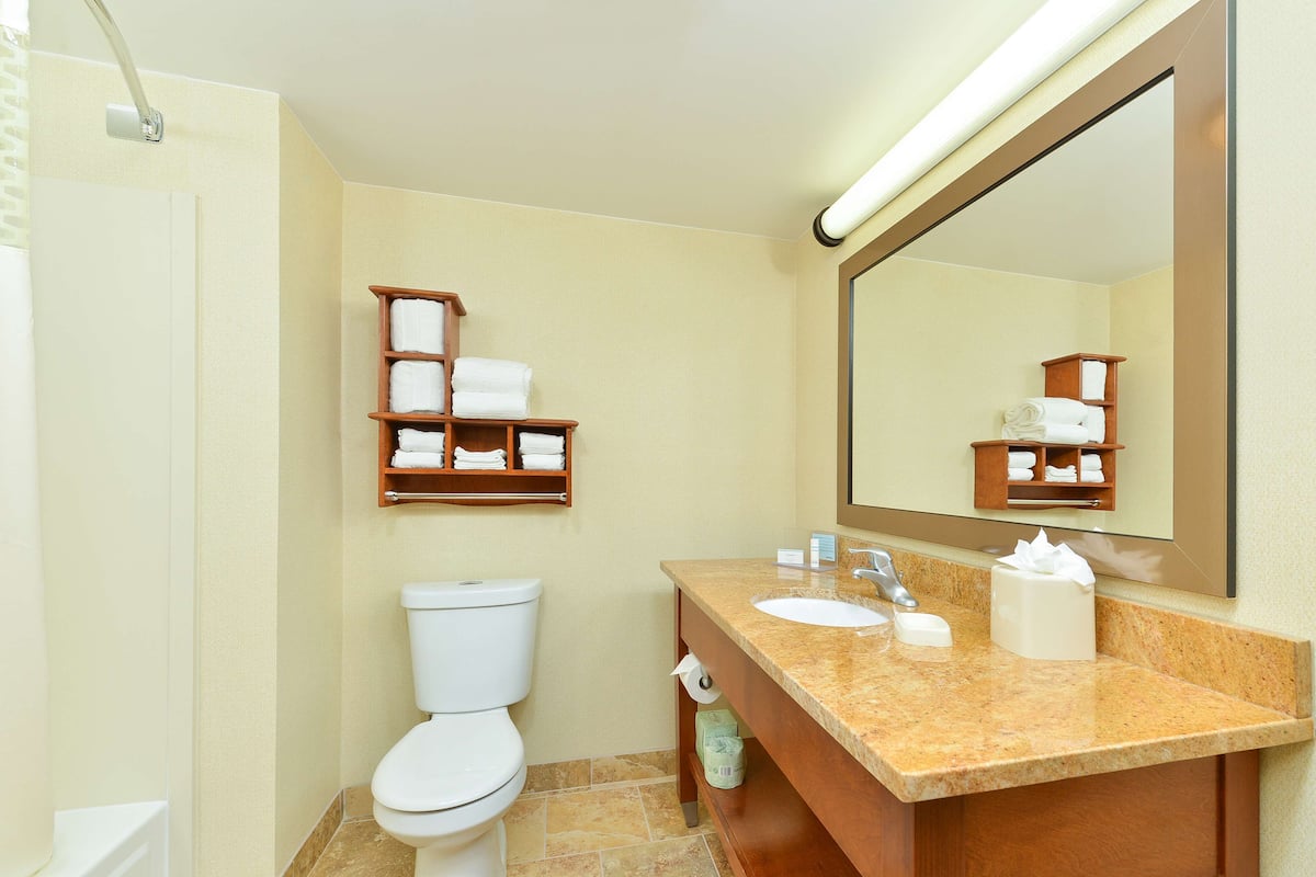 Combined shower/bathtub, free toiletries, hair dryer, towels