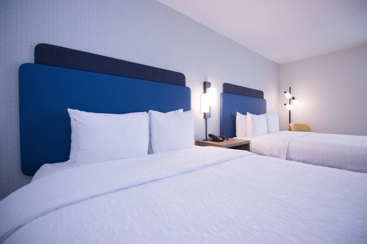 Roupas de cama premium, edredons de pluma, cortinas blackout