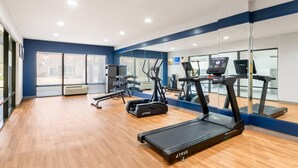 Une salle de sport équipée de tapis de course, de vélos elliptiques et d’un mur recouvert de miroirs.