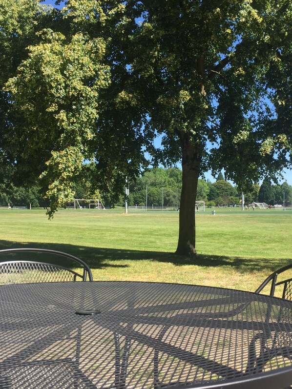 Vista desde la propiedad