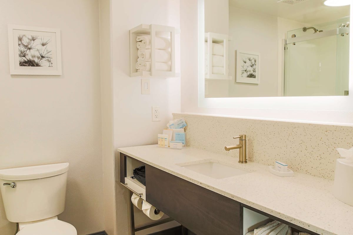 free toiletries, hair dryer, towels