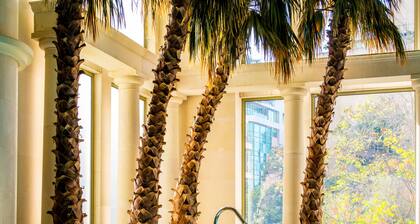 InterContinental Phoenicia Beirut by IHG