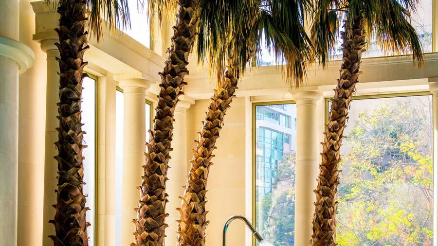 InterContinental Phoenicia Beirut by IHG