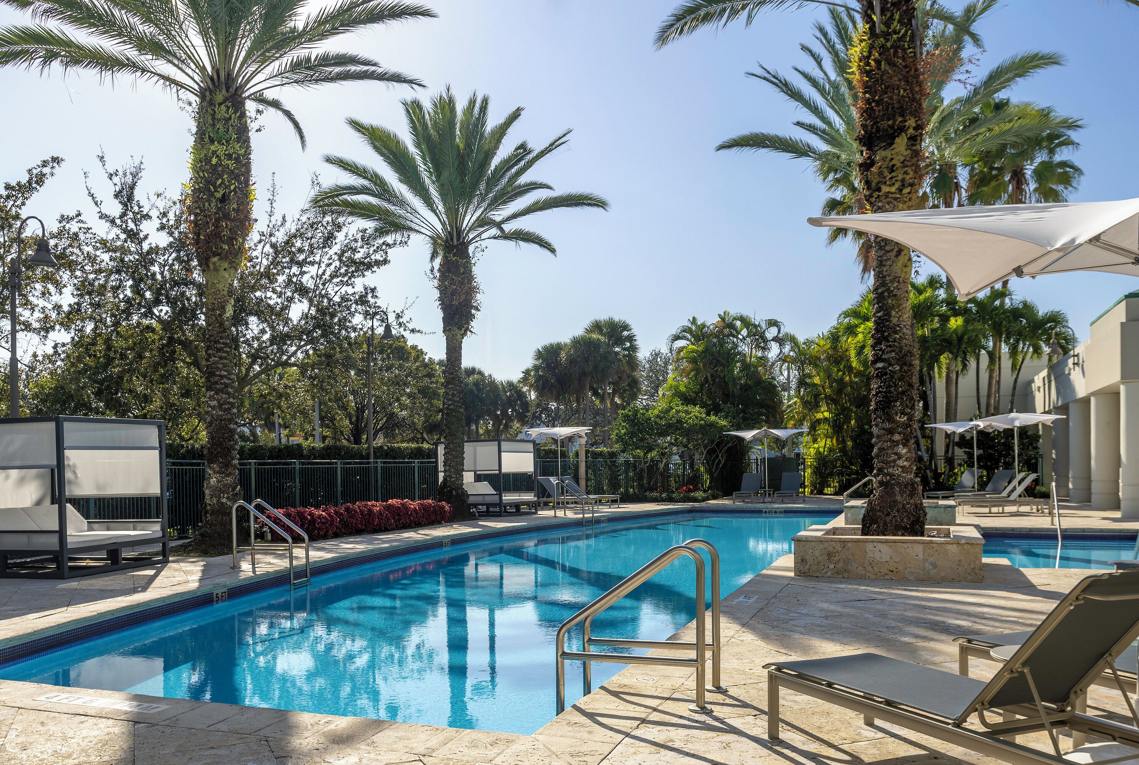 A swimming pool with lounge chairs and umbrellas, surrounded by palm trees.