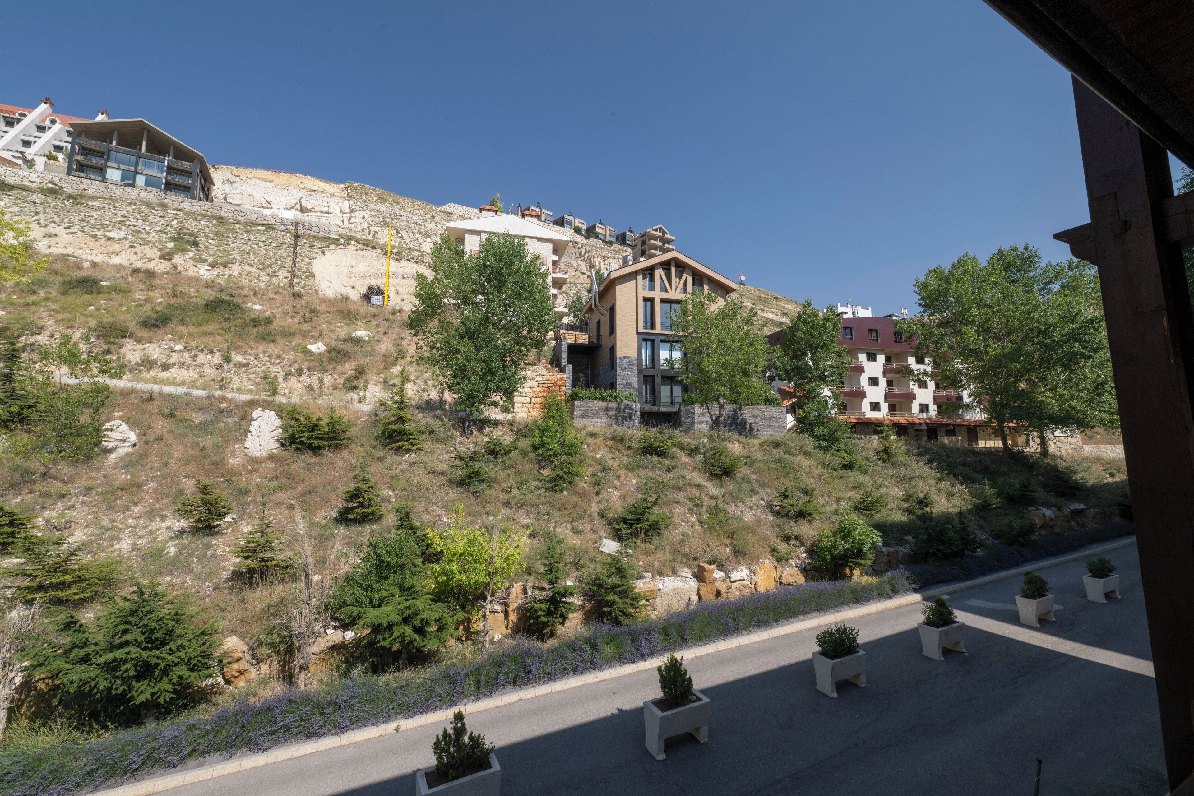 A hillside residential area with modern buildings, a paved road, and landscaped areas with potted plants.