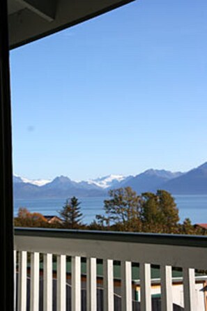 Vista desde la habitación