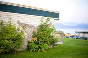 Terrain de l’hébergement 