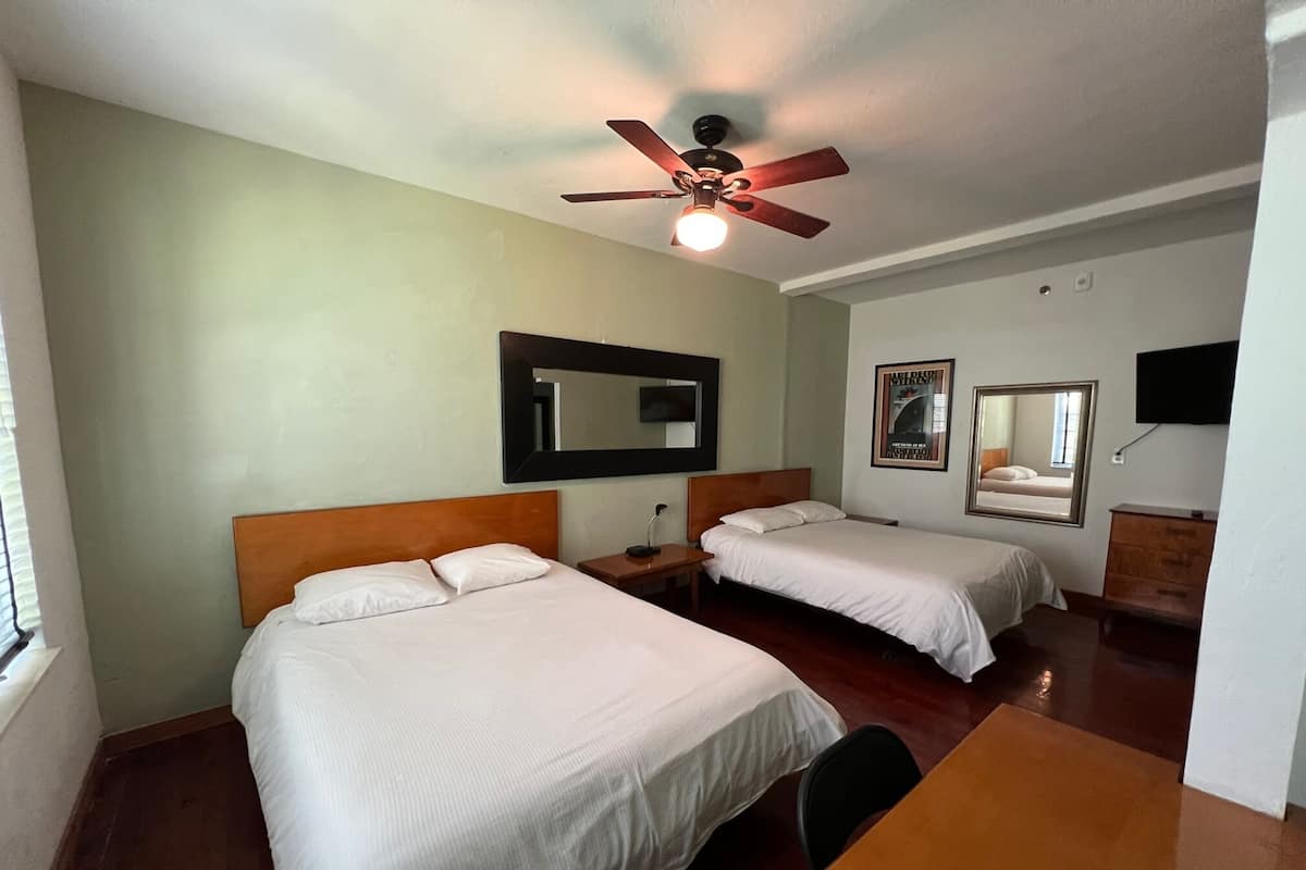 Suite 4