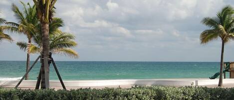 Beach/ocean view