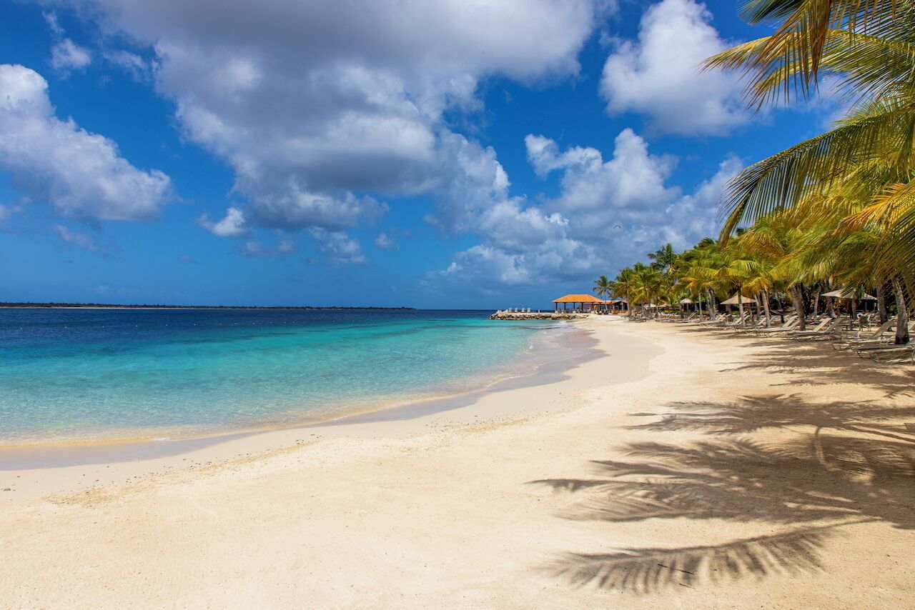 A beach with clear turquoise water, palm trees, and a distant building with an orange roof.