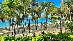 View from room - Harbour Village Beach Club Bonaire (Kralendijk)