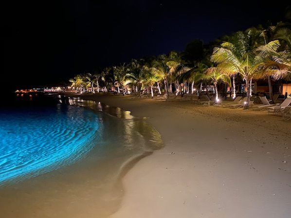 Private beach, sun-loungers, beach umbrellas, beach towels