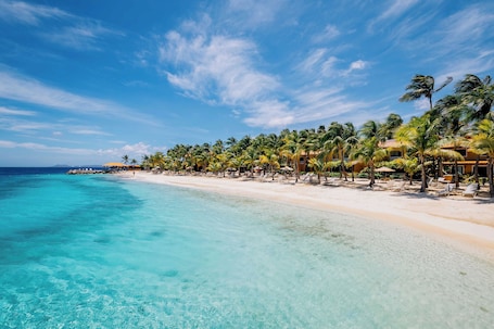 A beach resort with clear turquoise waters, palm trees, and beach umbrellas.
