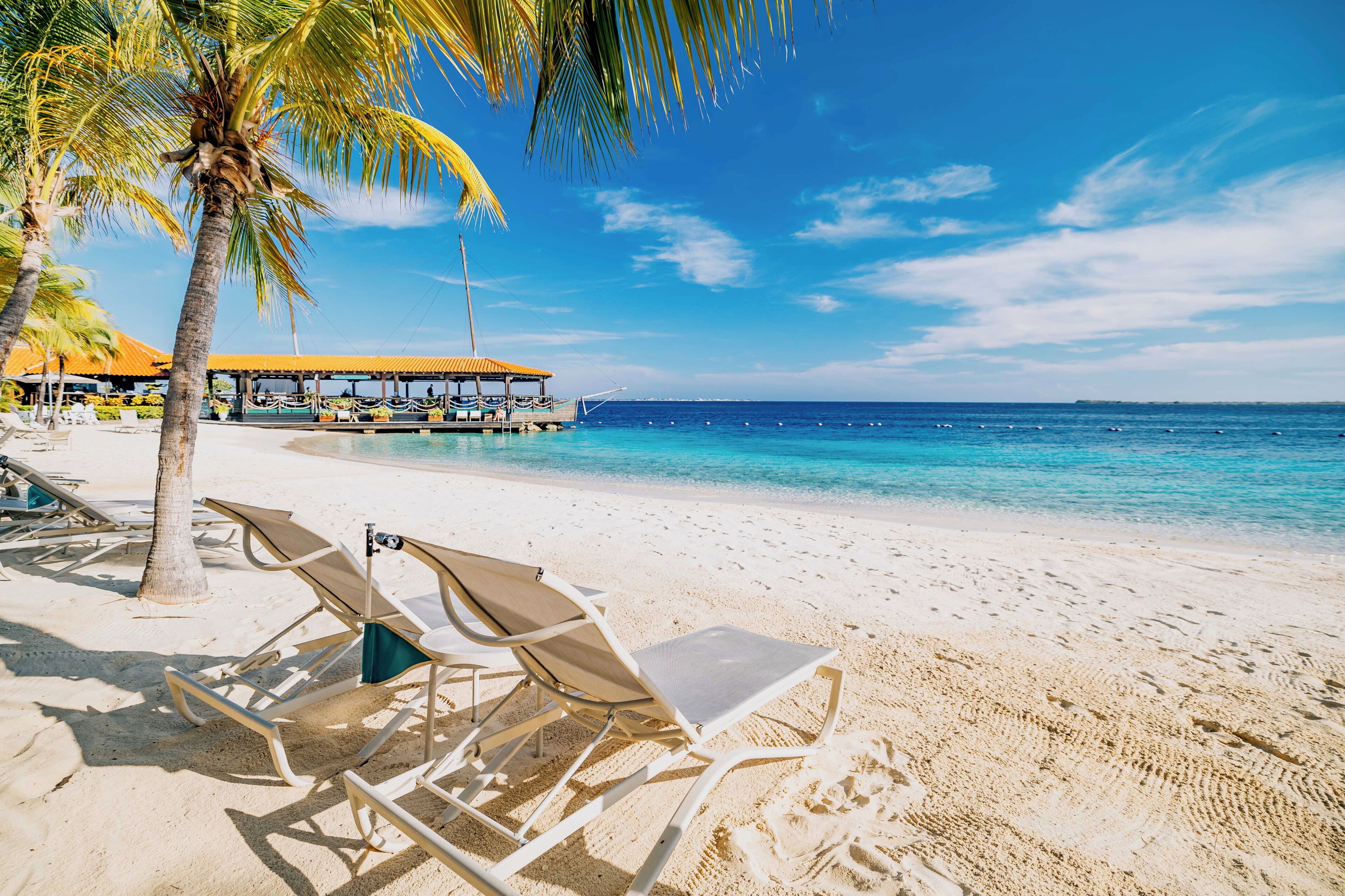 A beach with white sand, clear blue water, and a boat dock. There are lounge chairs and a palm tree.