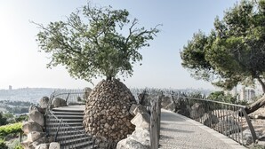 Una escalera de piedra con barandales de metal que sube hacia un árbol.