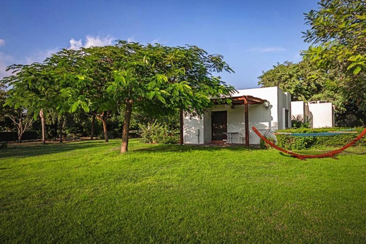 A small white building with a porch, surrounded by lush green grass and trees.
