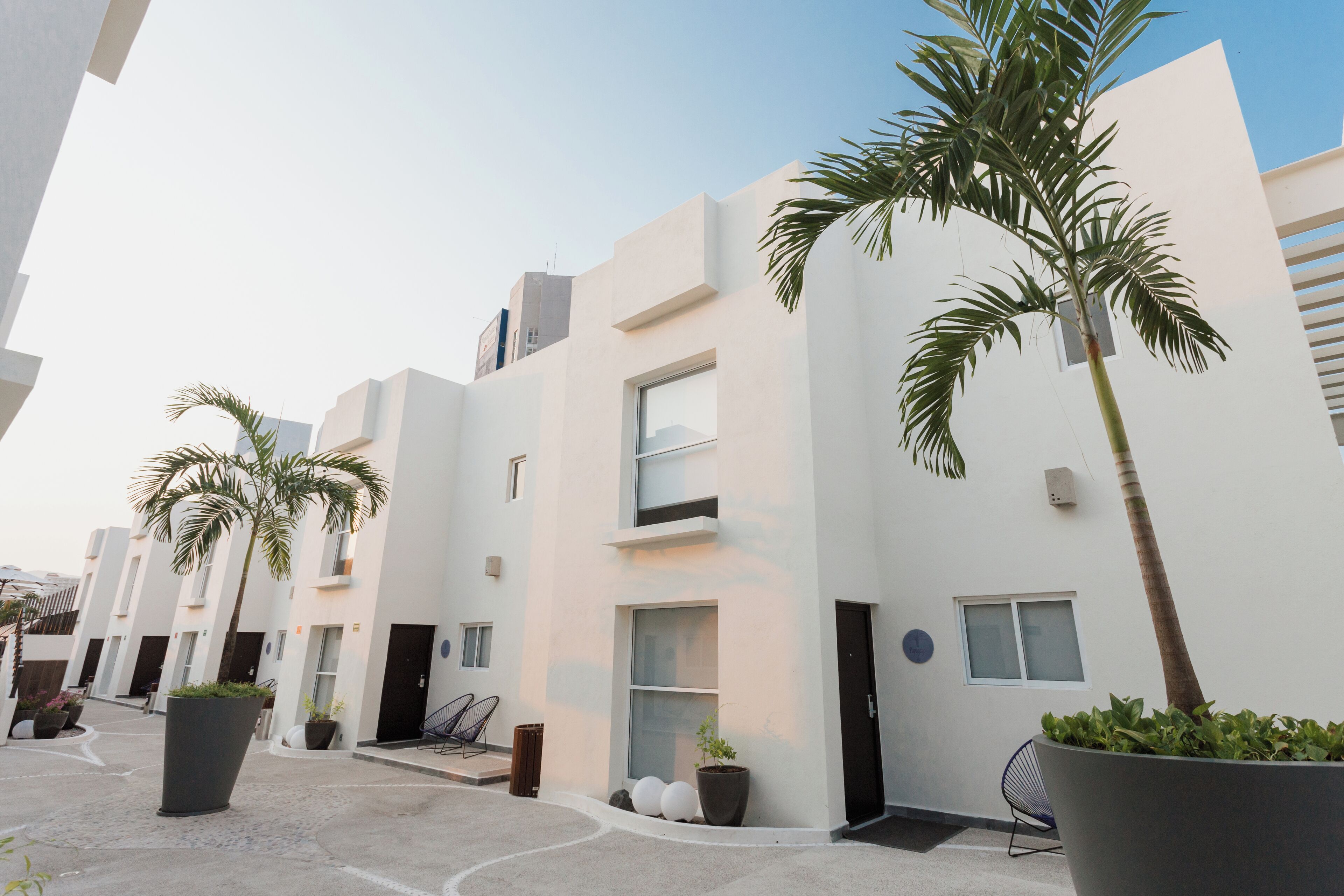 A modern building with white exterior walls, large windows, and potted plants.