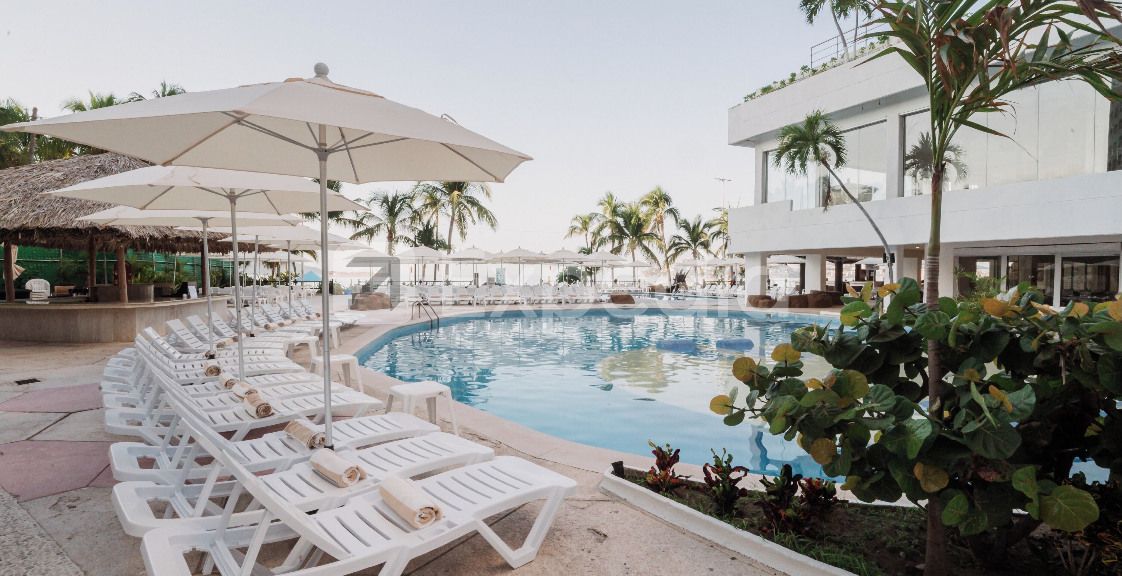 A poolside area with lounge chairs and umbrellas, surrounded by palm trees and a modern building.