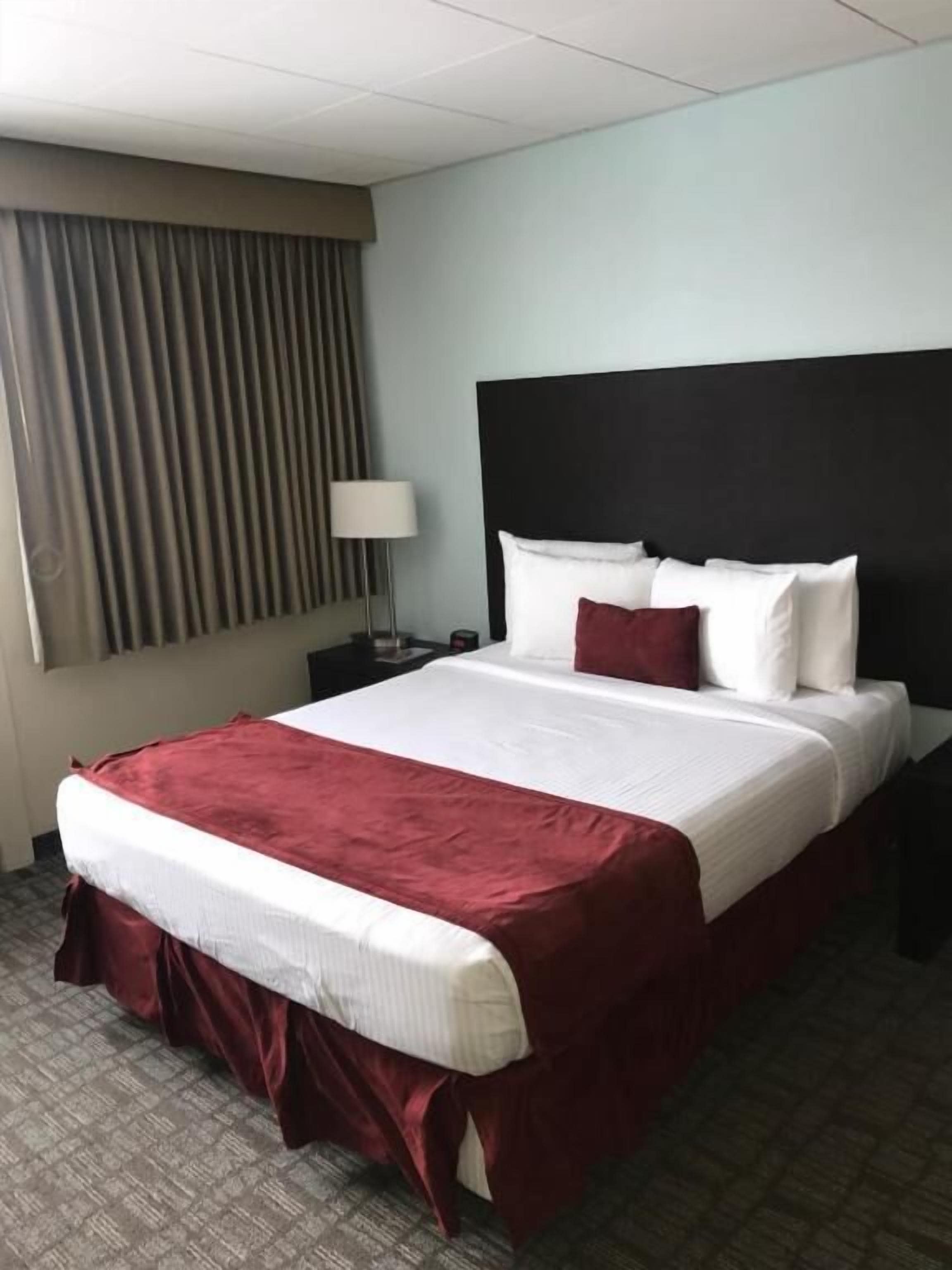 A hotel room with a large bed, a dark headboard, a nightstand with a lamp, and a window with curtains.