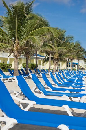 A row of blue and white sun loungers lined up on a sandy beach, with palm trees and a building in the background. - The Reef Beach Resort, East End, Grand Cayman (East End)