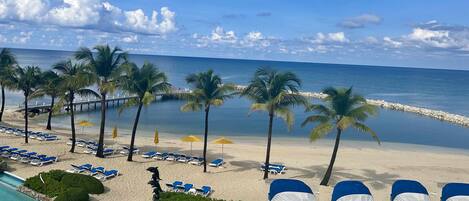 A beach with lounge chairs, palm trees, a pool, and a pier.
