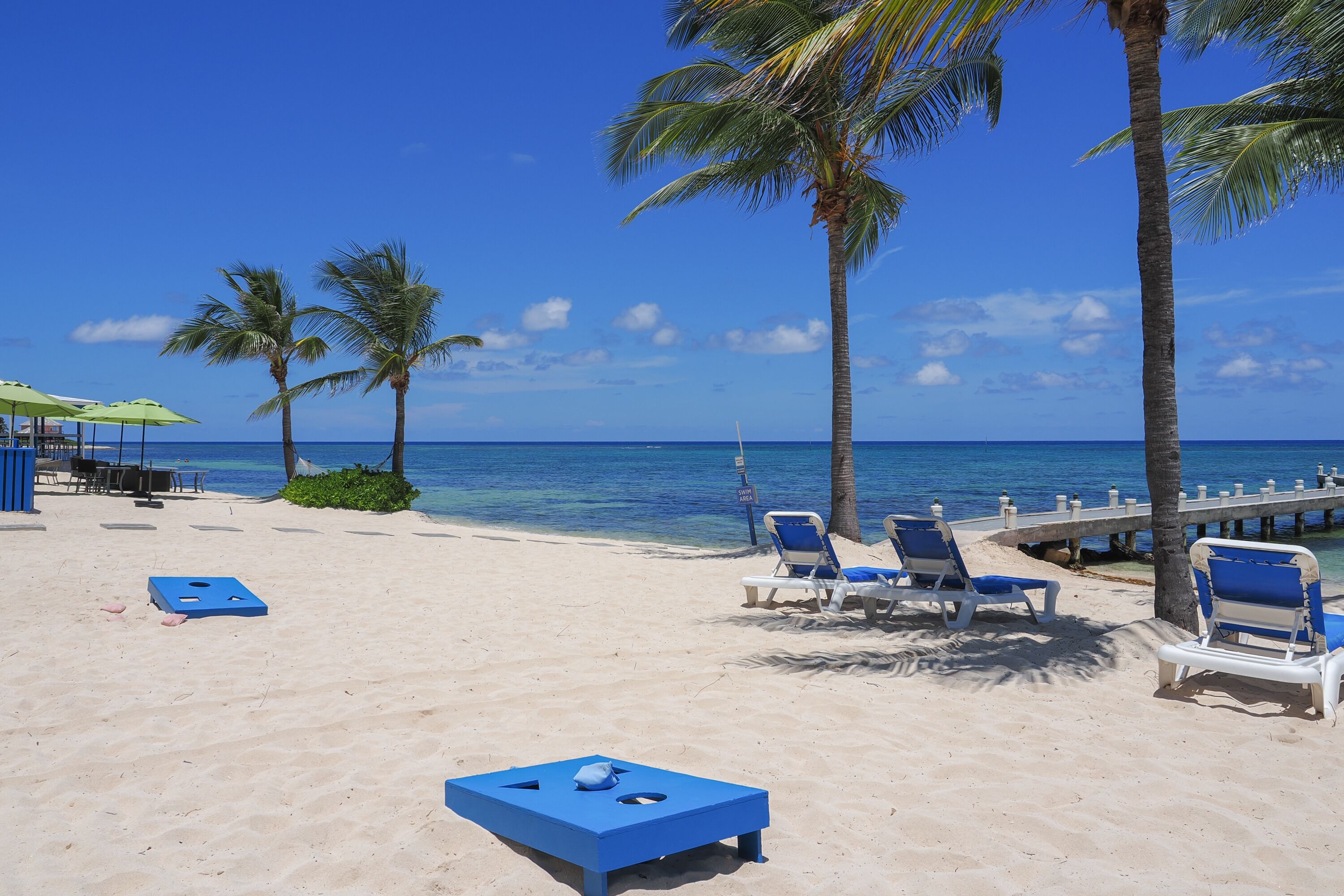 Een strand met palmbomen, een steiger en blauwe ligbedden.