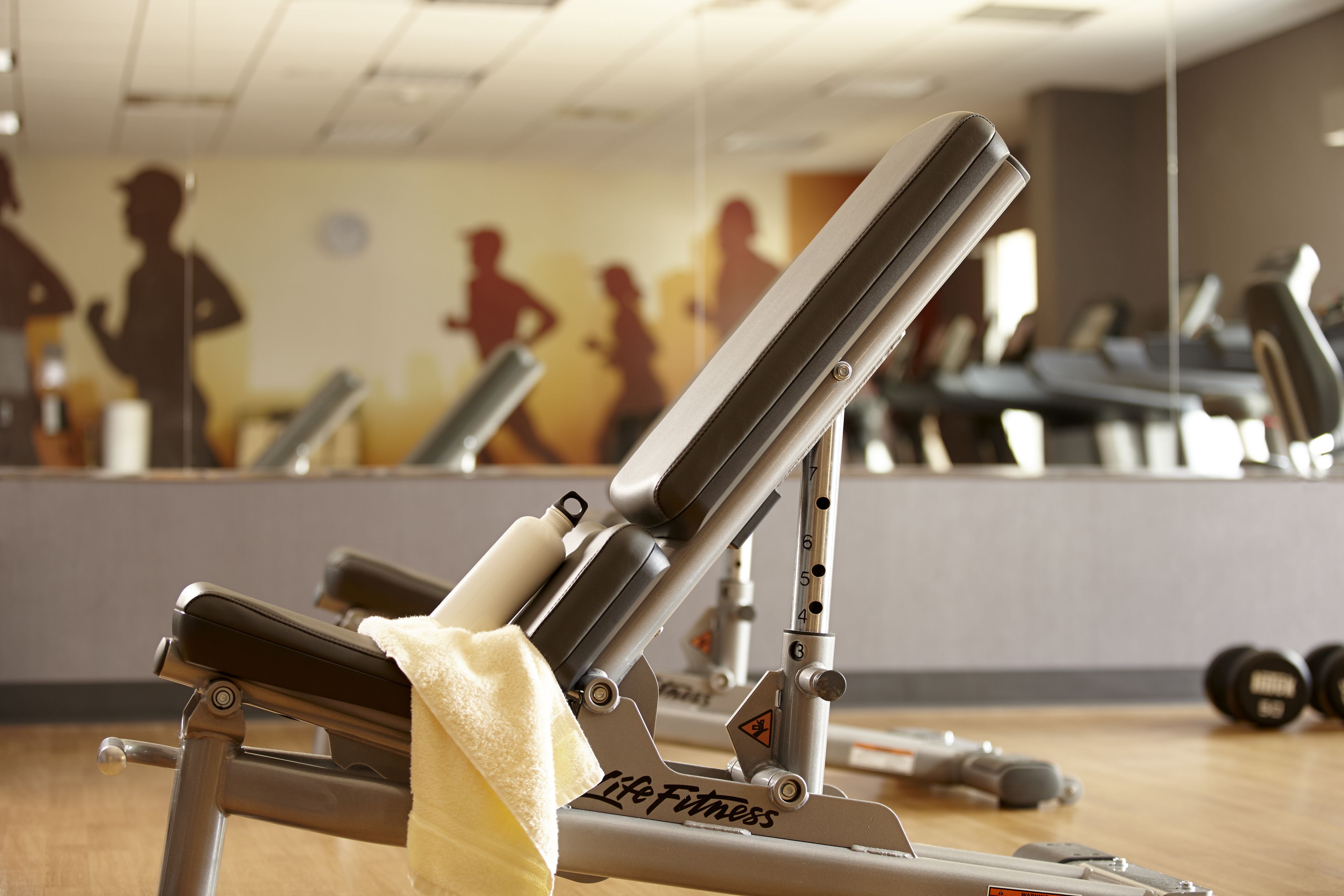 A gym with exercise equipment, including a bench and weights, and a mirror reflecting silhouettes of people exercising.