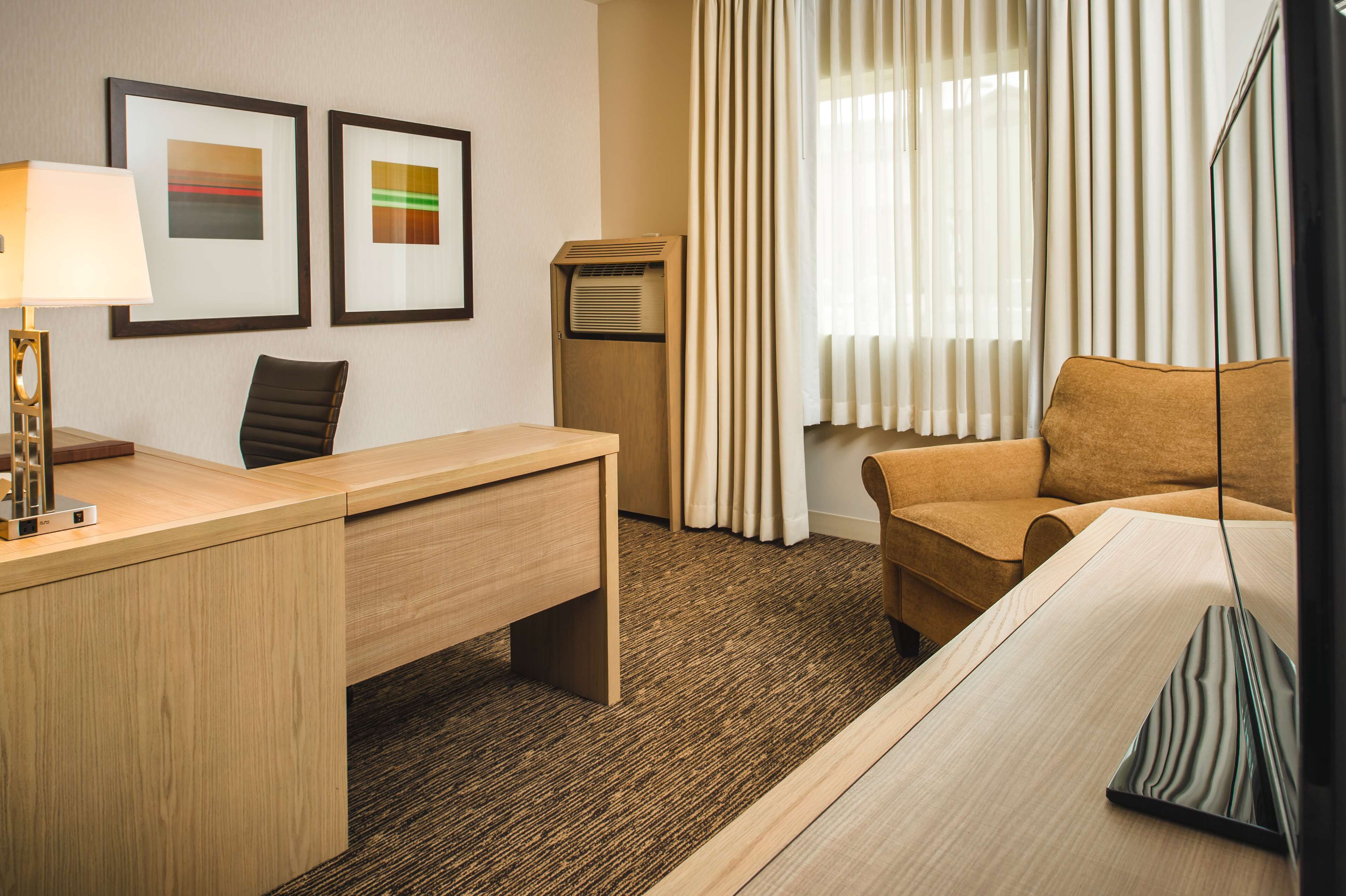 studio suite, 1 king bed with sofa bed, non smoking | hypo-allergenic bedding, down duvets, pillow-top beds, in-room safe