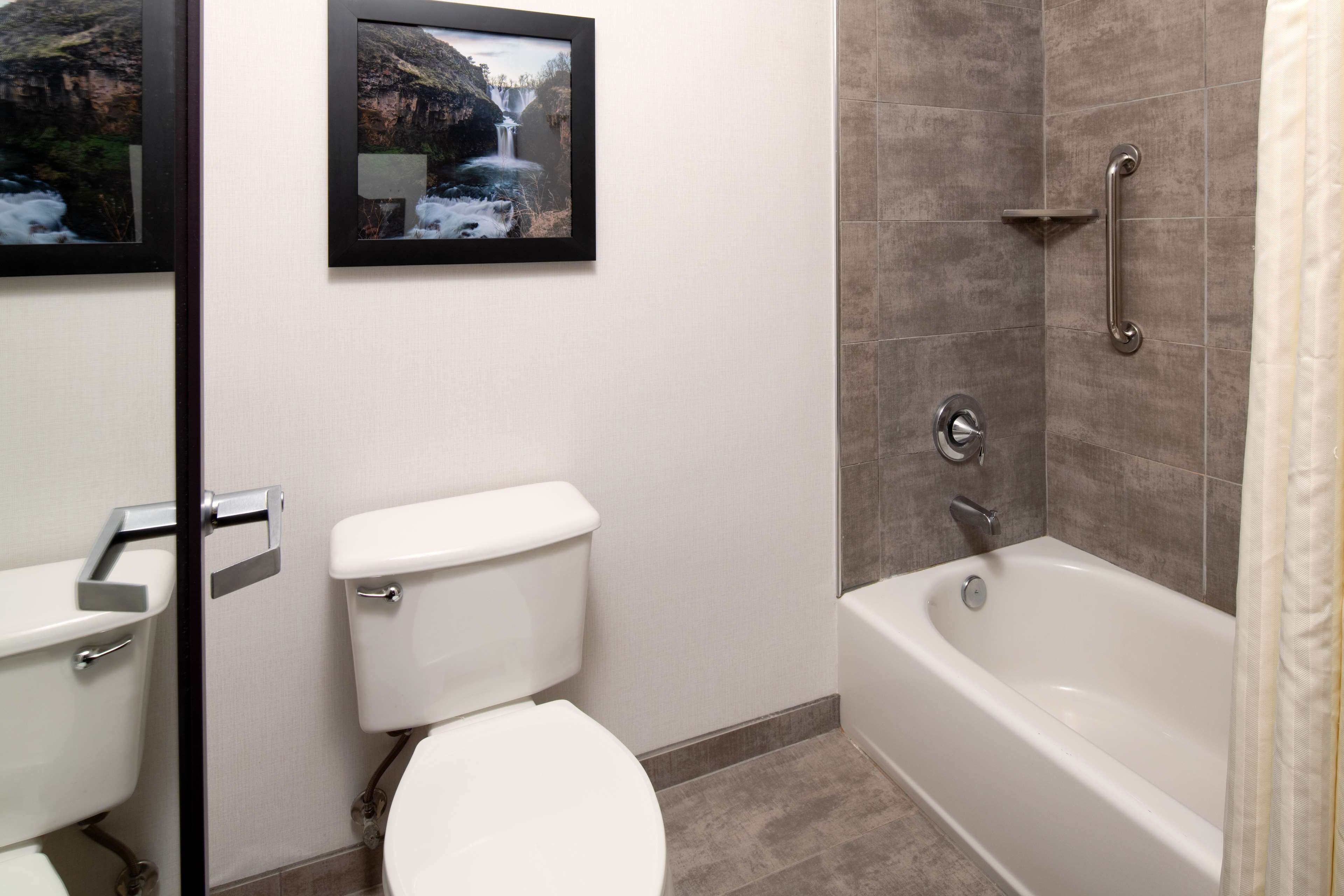 A bathroom with a toilet, a framed picture of a waterfall, a bathtub, and a shower with a grab bar.
