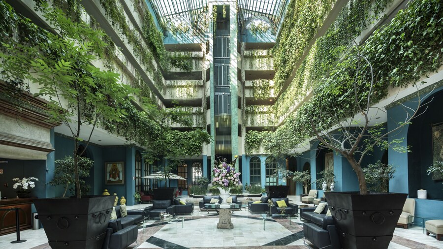 Hotel San Francisco Leon