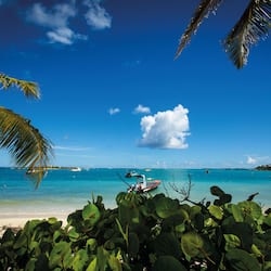Private beach, white sand, sun loungers, beach umbrellas