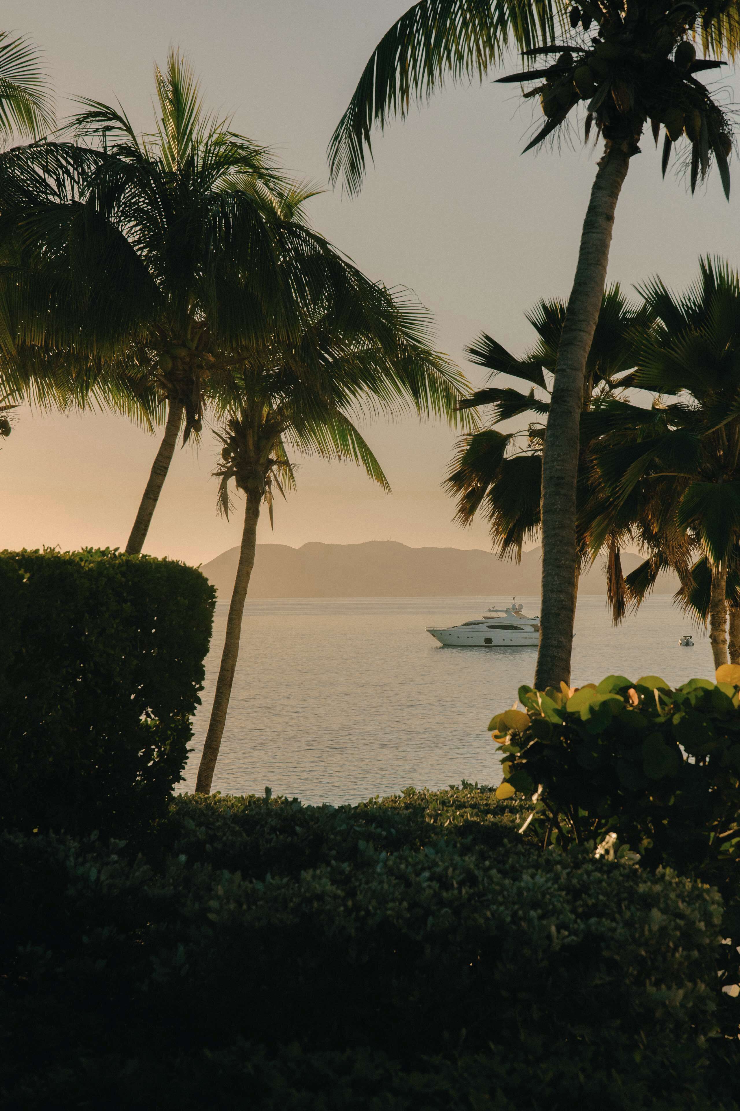 A serene coastal scene with palm trees and a yacht in the distance.