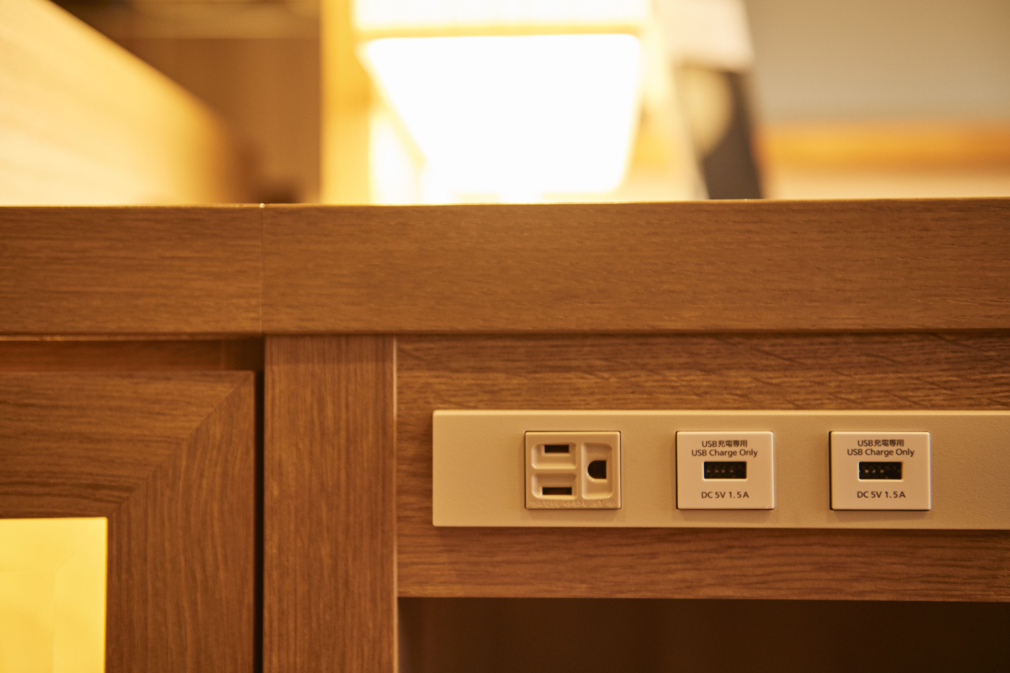 A wooden panel with two USB charging ports labeled "USB Charge Only" and "DC 5V 1.5A".