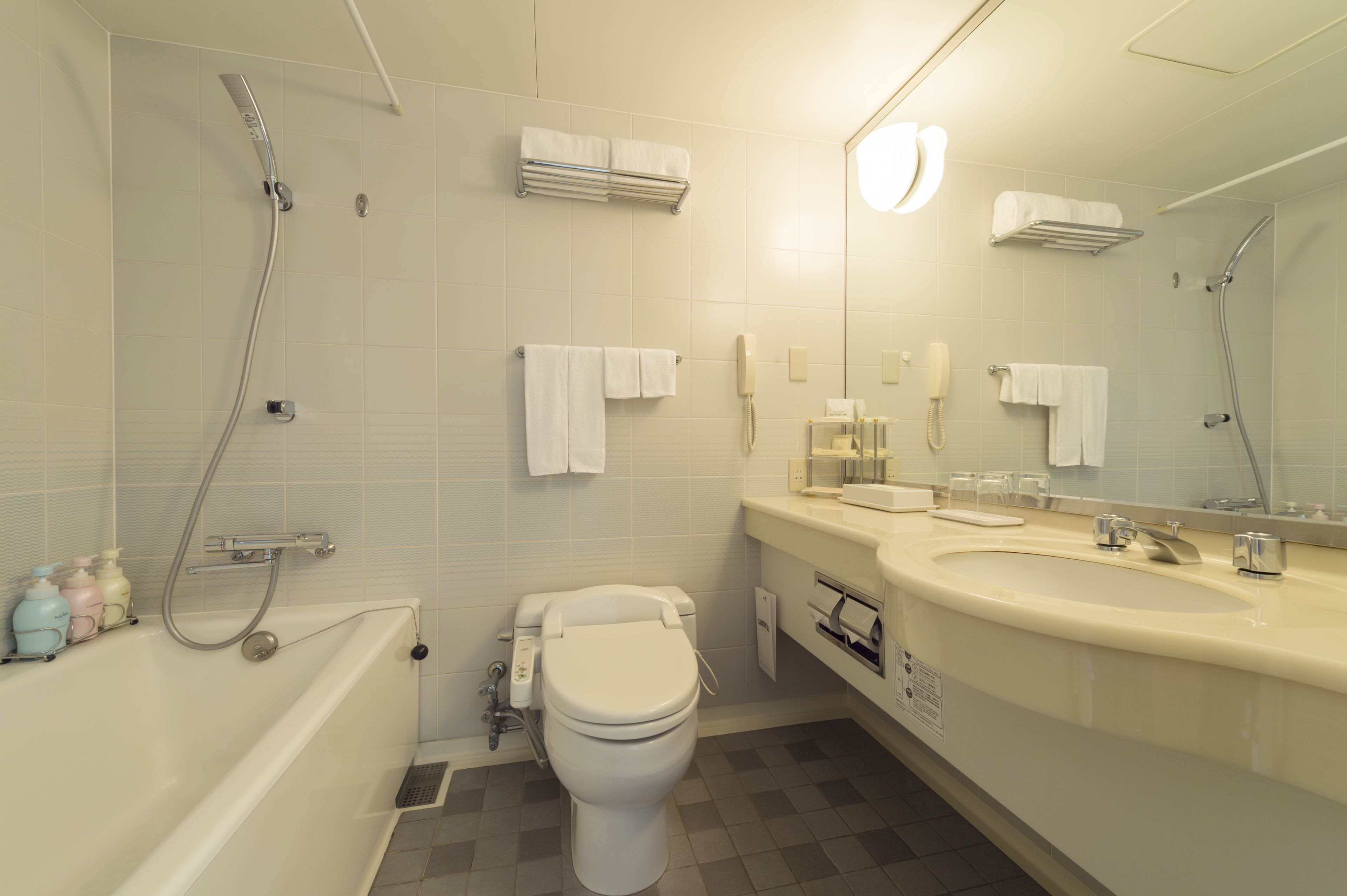 combined shower/bathtub, eco-friendly toiletries, hair dryer, slippers