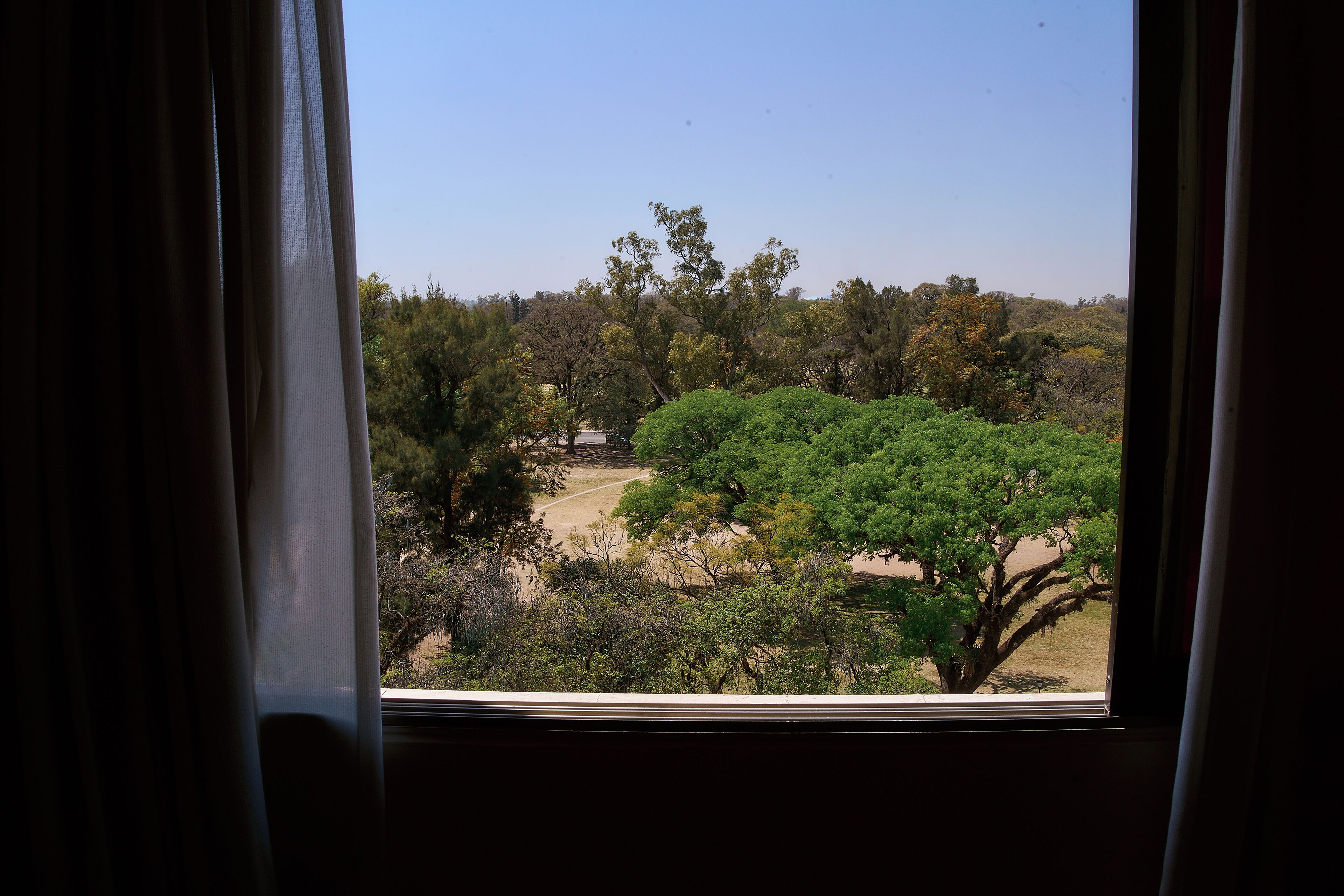 Une vue à travers une fenêtre avec des rideaux, donnant sur un paysage arboré et un ciel dégagé.