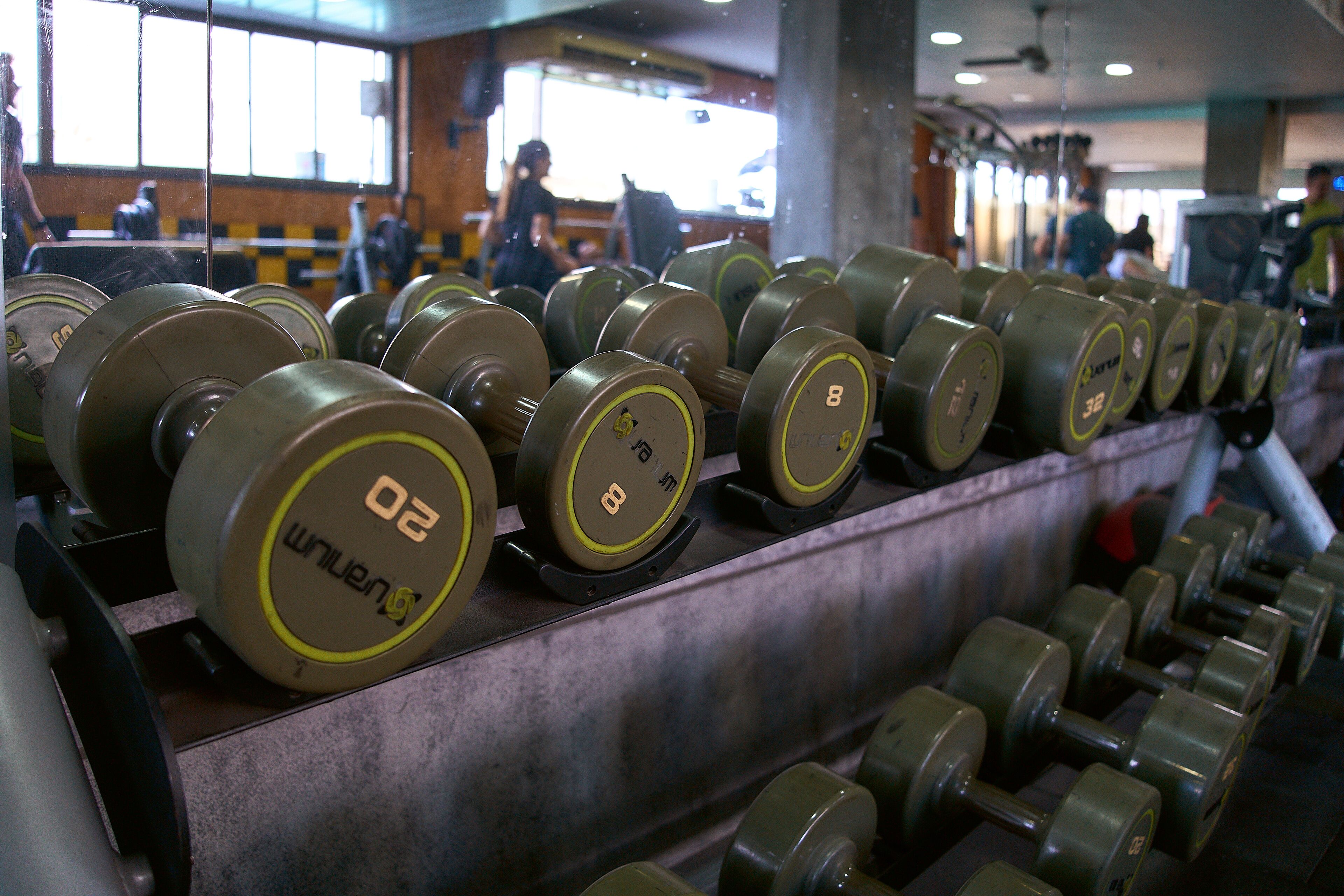 A row of dumbbells with weight markings, arranged on a rack in a gym.