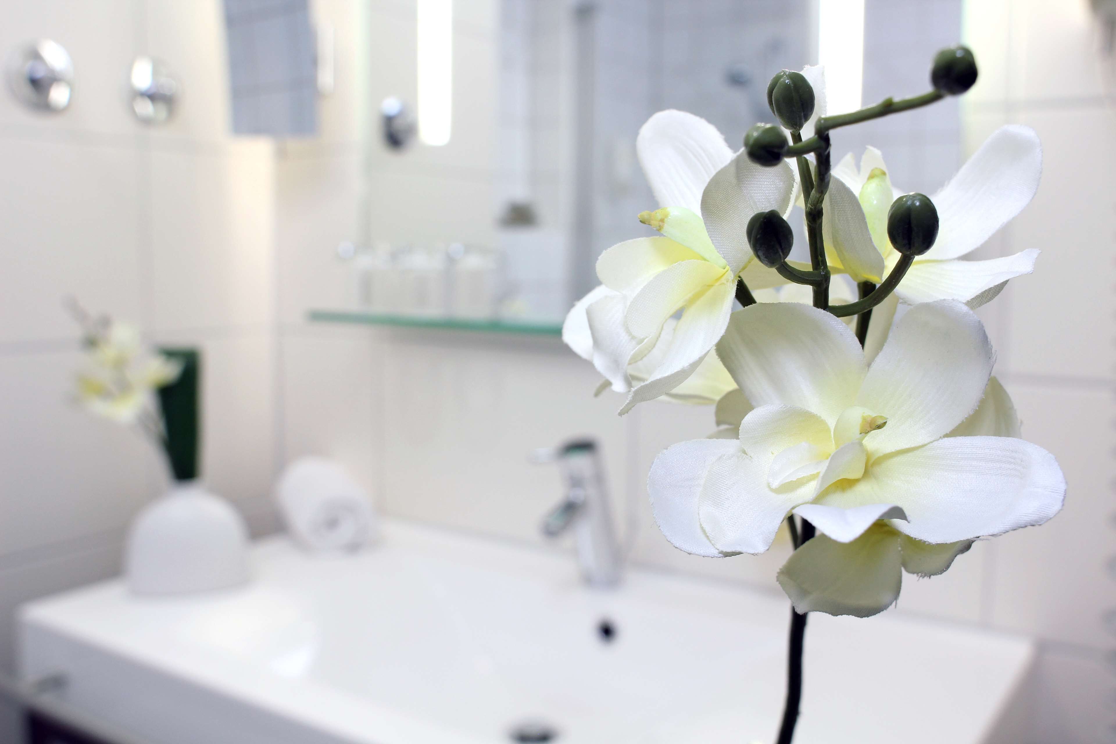 Bañera con ducha, secador de pelo, toallas