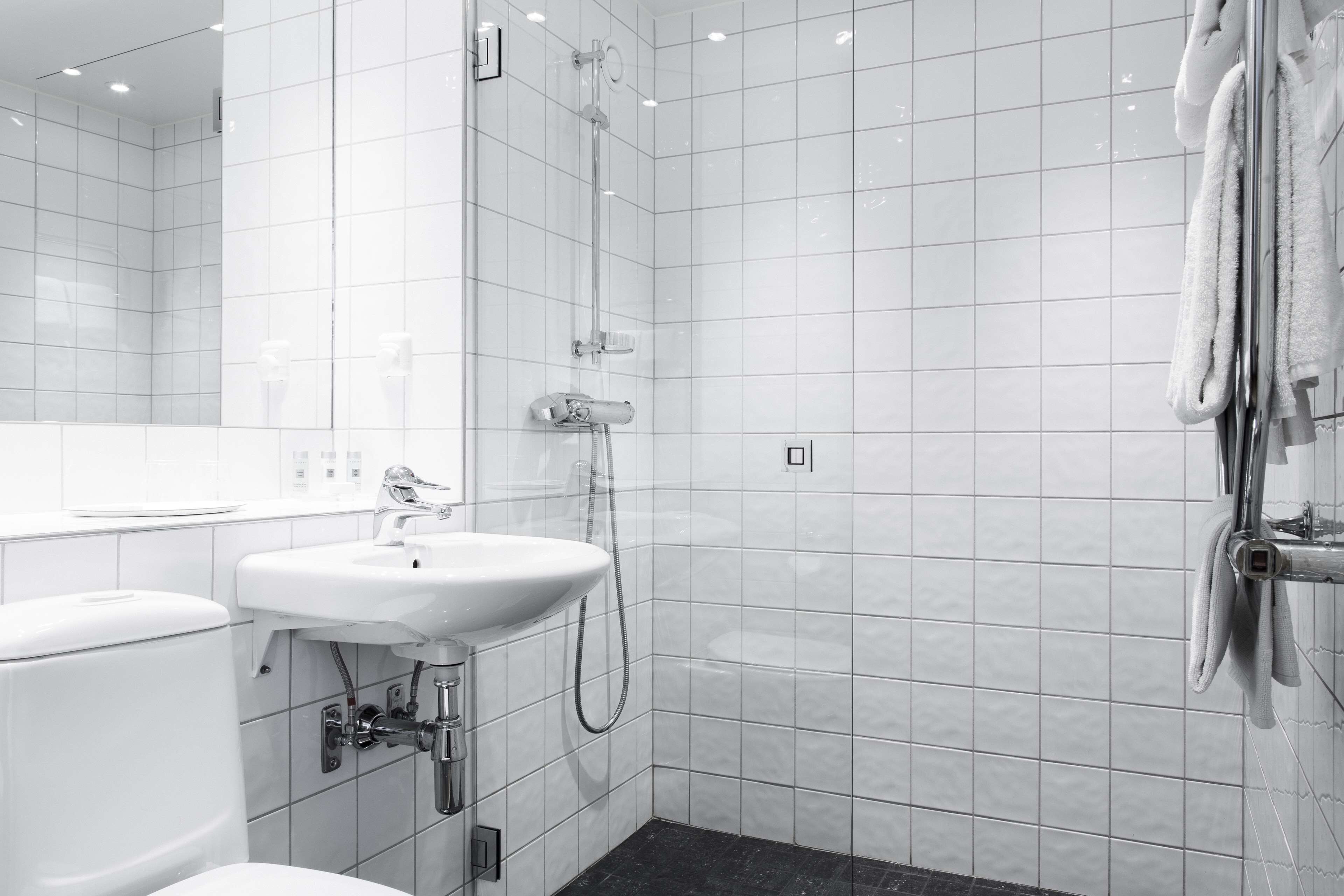 shower, free toiletries, hair dryer, slippers