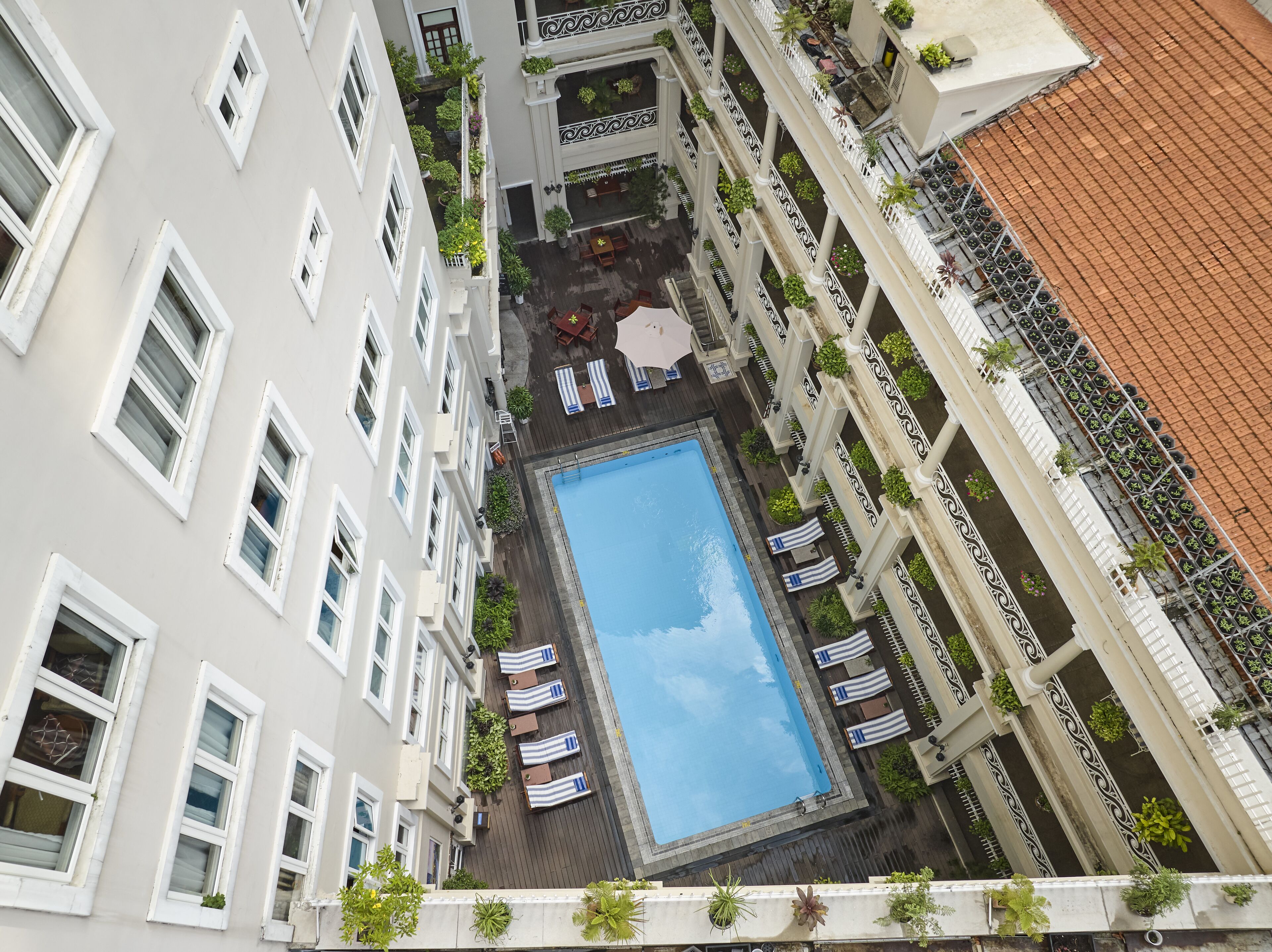 A rooftop pool area with a rectangular pool, surrounded by lounge chairs and umbrellas, and bordered by buildings with balconies and potted plants.