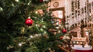 A Christmas tree with lights and ornaments, a wooden staircase, and a red tablecloth in a warmly lit room. - The Castle at Taunton (Taunton)