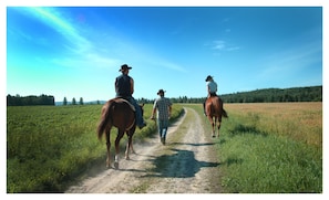 Équitation